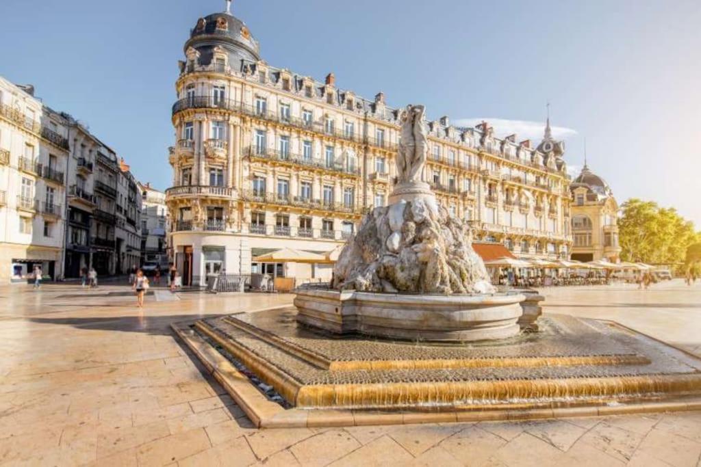 Appart Top Center 2 Chambres 2 Salles De Bain مونبيلييه المظهر الخارجي الصورة